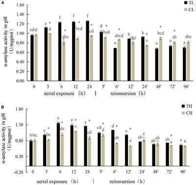 Modulated Expression and Activities of Ruditapes philippinarum Enzymes After Oxidative Stress Induced by Aerial Exposure and Reimmersion